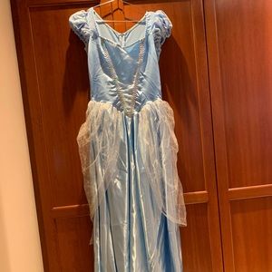 Cinderella Costume WOMEN